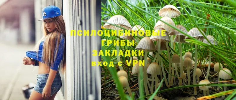 Псилоцибиновые грибы Magic Shrooms  Калач-на-Дону 